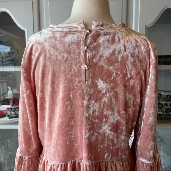 Cupio Velour Pink Blush Flounce Sleeve Empire Waist Top Sz S​​​ - Picture 5 of 6